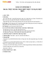 giao an sinh hoc 9 bai 26