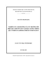 Nghiên cứu ảnh hưởng của từ trường tới hiệu quả chuyển gen vào đậu tương thông qua vi khuẩn Agrobacterium tumefaciens (LV thạc sĩ)