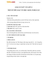 giao an ngu van 11 mot so the loai van hoc