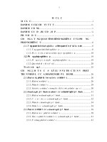 Phát triên nhân lực của các doanh nghiệp lữ hành vùng duyên hải Bắc Bộ (LA tiến sĩ)