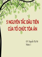 Bài thảo luận về 5 nguyên tắc tổ chức tòa án ở việt nam