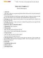 giao an ngu van 12 ong gia va bien ca