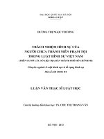 TRÁCH NHIỆM HÌNH SỰ CỦA NGƯỜI CHƯA THÀNH NIÊN PHẠM TỘI TRONG LUẬT HÌNH SỰ VIỆT NAM (TRÊN CƠ SỞ CÁC SỐ LIỆU ĐỊA BÀN THÀNH PHỐ HỒ CHÍ MINH)