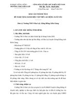 Báo cáo thành tích tập thể THCS hòa lợi 