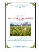 Lập dự án nuôi dê kết trồng cây dược liệu ở tỉnh Điện Biên