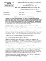 De  thi GVDG huyen ANH  2017