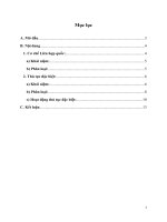 Phân tích thủ tục điều tra đặc biệt của liên hiệp quốc về nhân quyền