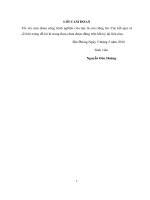 Trang thiết bị điện tàu 53000T . Đi sâu nghiên cứu phân hệ thống điều khiển diesel máy phát