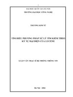 Tìm hiểu phương pháp xử lý tìm kiếm theo ký tự đại diện của lucene (tt) 