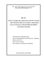 Giải pháp nâng cao hiệu quả hoạt động kiểm tra chuyên ngành đối với hàng hóa xuất khẩu, nhập khẩu tại Cục Hải quan thành phố Hải phòng