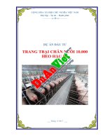 Lập dự án trang trại chăn nuôi 10 000 heo hậu bị 