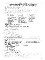 ngữ pháp tiếng anh 11