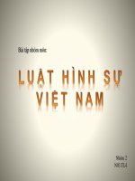 bài tập nhóm môn luật hình sự