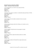 Information systems in organizations 1st edition patricia wallace test bank 