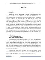 Các ưu tiên phát triển trong cơ chế đảm bảo và thực hiện quyền con người ở Việt Nam