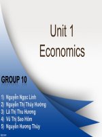 Tiếng anh chuyên ngành tài chính unit 1: Economics