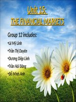 tiếng anh chuyên ngành tài chính: THE FINANCIAL MARKETS