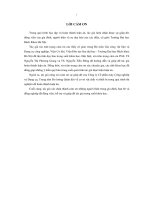 Nghiên cứu khả năng cắt của đá mài xẻ rãnh nghiêng trên bề mặt đá mài chế tạo thử nghiệm tại Việt Nam khi mài phẳng vật liệu SKD11 nhiệt luyện (LA tiến sĩ)