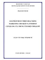 Giải pháp hoàn thiện hoạt động marketing cho dịch vụ internet cáp quang của trung tâm điện thoại SPT 