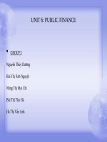 Tiếng anh chuyên ngành tài chính unit 6: PUBLIC FINANCE