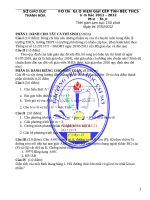 DE THI GVG MON TOAN TINH THANH HOA NAM 20112012