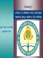 Chuong 5: CÔNG CỤ PHÒNG NGỪA RỦI RO TRONG HOẠT ĐỘNG TÀI CHÍNH