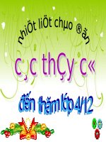 giao an dien tu bai dong tu lop