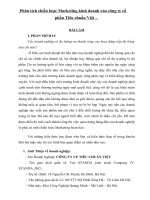 Phân tích chiến lược marketing kinh doanh của công ty cổ phần tiêu chuẩn việt   