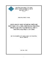 CHẨN ĐOÁN MỘT SỐ BỆNH TRÊN HỆ TIẾT NIỆU CỦA CHÓ, MÈO BẰNG PHƯƠNG PHÁP X QUANG TẠI BỆNH XÁ THÚ Y TRƯỜNG ĐẠI HỌC CẦN THƠ