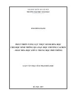 Phát triển năng lực thực hành hóa học cho học sinh thông qua dạy học chương cacbon – silic hóa học 11 trung học phổ thông 