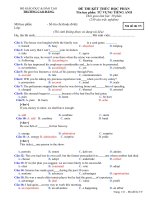 CÂU HỎI TRẮC NGHIỆM TỪ VỰNG TIẾNG ANH