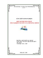 SKKN Một số phương pháp tìm nghiệm nguyên của phương trình