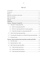 Nghiên cứu cải thiện hiệu năng định tuyến mạng ngang hàng P2P