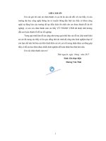 xây dựng mô hình chăm sóc rau tự động bằng phương pháp thủy canh 