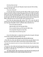 Tham luan ve van de an toan giao thong