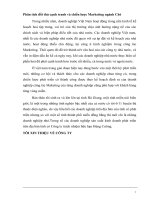 Phân tích đối thủ cạnh tranh và chiến lược marketing ngành chè