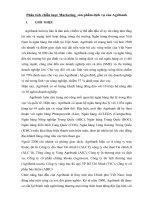 Phân tích chiến lược marketing  sản phẩm dịch vụ của agribank