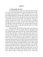 Áp dụng các biện pháp ngăn chặn đối với người dưới 18 tuổi phạm tội theo pháp luật tố tụng hình sự Việt Nam từ thực tiễn quận Cẩm Lệ, thành phố Đà Nẵng (tt)