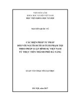 Các biện pháp tư pháp đối với người dưới 18 tuổi phạm tội theo pháp luật thình sự Việt Nam từ thực tiễn thành phố Đà Nẵng (LV thạc sĩ)