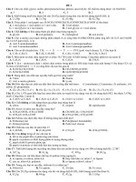 ĐỀ KIỂM TRA 1 TIẾT LẦN 2 LỚP 12 HOCI KÌ 2