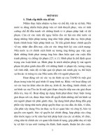 Áp dụng hình phạt theo pháp luật hình sự Việt Nam từ thực tiễn thành phố Tam Kỳ, tỉnh Quảng Nam (tt)