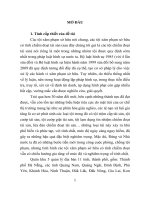 Các tội xâm phạm sở hữu có tính chiếm đoạt theo pháp luật hình sự Việt Nam từ thực tiễn Quân khu 5 (tt)