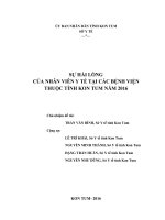Sự hài lòng của nhân viên y tế tại các bệnh viện thuộc tỉnh kon tum năm 2016 