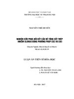 Nghiên cứu phục hồi kết cấu bê tông cốt thép nhiễm clorua bằng phương pháp ece và eici 