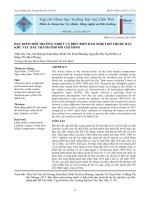 02-MT-TRAN THI VAN(11-20)002