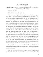 THỰC TRẠNG VÀ MỘT SỐ GIẢI PHÁP XÂY DỰNG NÔNG THÔN MỚI  XÃ TÂN PHÚC