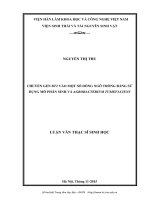 Chuyển gen bt2 vào một số dòng ngô trồng bằng sử dụng mô phân sinh và agrobacterium tumefaciens 