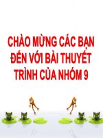 Bài thuyế trình về dãy fibonacci  Người thực hiện : Nguyễn Thị Trâm Anh