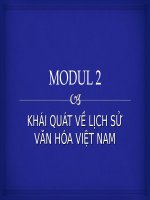 khái quát văn hóa Việt Nam Cơ sở văn hóa Việt Nam