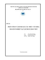 PHÂN TÍCH VÀ ĐÁNH GIÁ CẤU TRÚC VĂN HÓA DOANH NGHIỆP TẠI TẬP ĐOÀN BẢO VIỆT